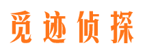 红古市婚外情调查